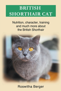 British Shorthair Cat