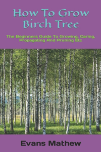 How To Grow Birch Tree