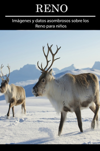 Reno