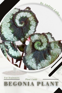 Begonia Plant