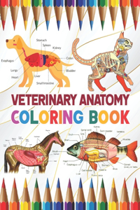 Veterinary Anatomy Coloring Book