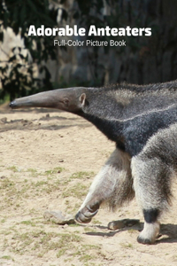Adorable Anteaters Full-Color Picture Book