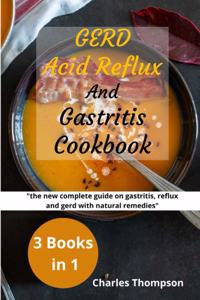 GERD, Acid Reflux and Gastritis Cookbook