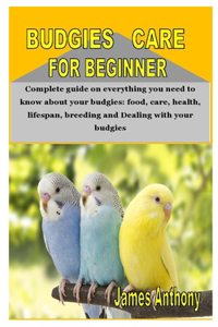 Budgies Care for Beginner