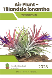 Air Plant - Tillandsia ionantha
