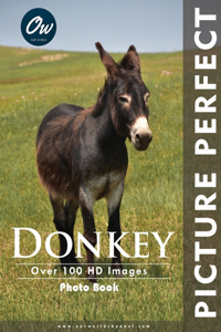 Donkey