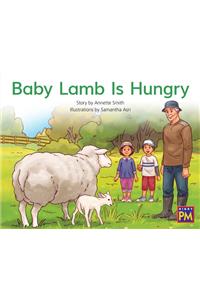 Baby Lamb Is Hungry