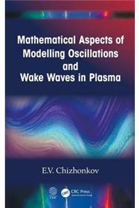 Mathematical Aspects of Modelling Oscillations and Wake Waves in Plasma