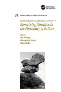 Resilience Engineering Perspectives, Volume 1