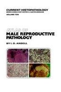 Atlas of Male Reproductive Pathology