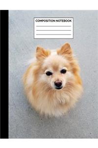 Composition Notebook