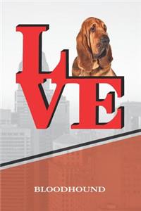 Bloodhound