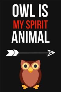 Owl Is My Spirit Animal