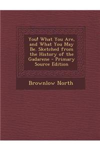 You! What You Are, and What You May Be. Sketched from the History of the Gadarene