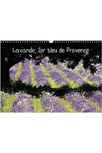 Lavande, L'or Bleu De Provence 2018