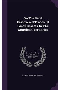 On the First Discovered Traces of Fossil Insects in the American Tertiaries