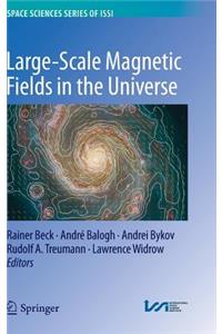 Large-Scale Magnetic Fields in the Universe