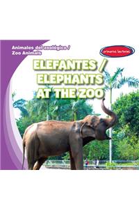 Elefantes / Elephants at the Zoo