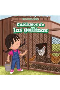 Cuidamos de Los Pollos (We Take Care of the Chickens)