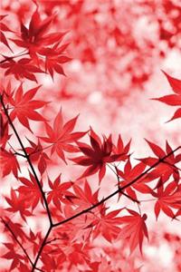 Maple Leaves Journal