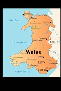 Map of Wales Journal: 150 Page Lined Notebook/Diary