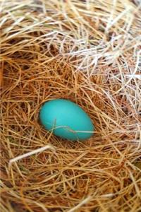 Journal Single Robin's Egg Bird Nest