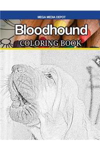 Bloodhound Coloring Book