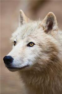White Wolf Journal