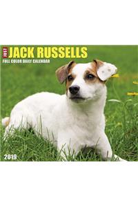 Just Jack Russells 2019 Box Calendar (Dog Breed Calendar)