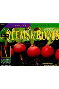 Plant Stems & Roots