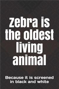 Zebra is the oldest living animal