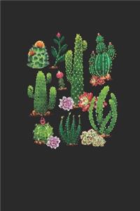Cacti of the Southwest