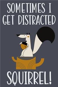 Sometimes I Get Distracted Squirrel!