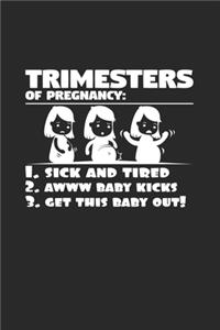 Trimesters of pregnancy