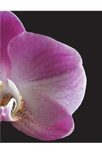 Orchid Notebook Large Size 8.5 x 11 Ruled 150 Pages