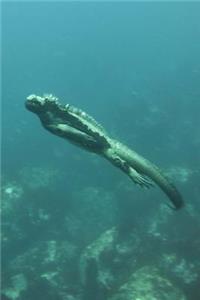 Marine Iguana Swimming on a Deep Dive Journal