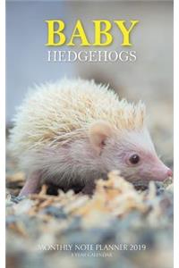 Baby Hedgehogs Monthly Note Planner 2019 1 Year Calendar