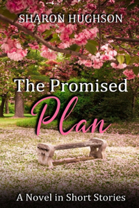 Promised Plan