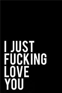 I Just Fucking Love You