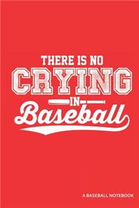 There Is No Crying in Baseball a Baseball Notebook