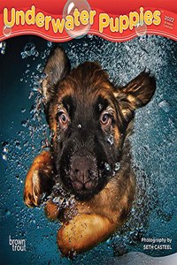 Underwater Puppies 2022 Mini