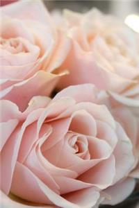 Lovely Pastel Pink Roses Flower Journal