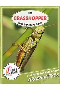 The Grasshopper Fact and Picture Book