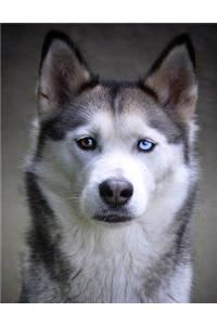 Husky Bullet Journal