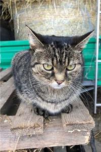 Crabby Tabby Barn Cat Journal