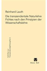 transzendentale Naturlehre Fichtes nach den Prinzipien der Wissenschaftslehre