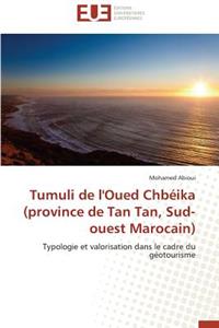 Tumuli de l'Oued Chbéika (Province de Tan Tan, Sud-Ouest Marocain)