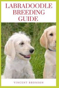 Labradoodle Breeding Guide