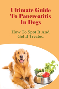Ultimate Guide To Pancreatitis In Dogs