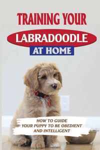 Training Your Labradoodle At Home